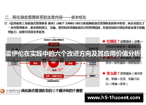 霍伊伦在实践中的六个改进方向及其应用价值分析 霍伊伦在实践中的六个改进方向及其应用价值分析